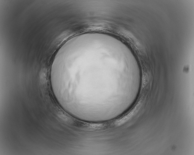 X0000116661353201001251209