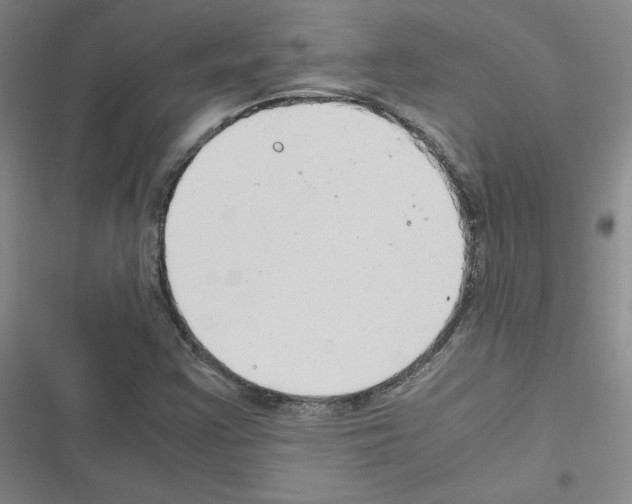 X0000116661355201001251209