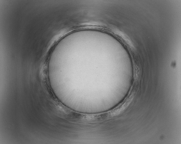 X0000116661357201001251209