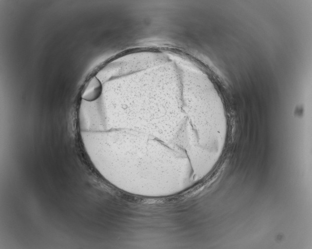X0000116661358201001251209