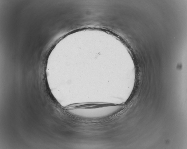 X0000116661359201001251209