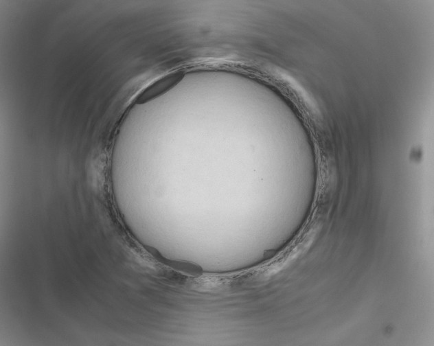 X0000116661361201001251209