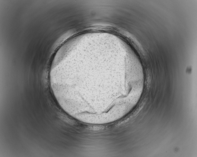 X0000116661362201001251209
