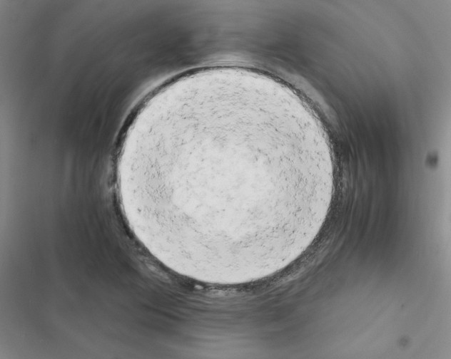 X0000116661364201001251209