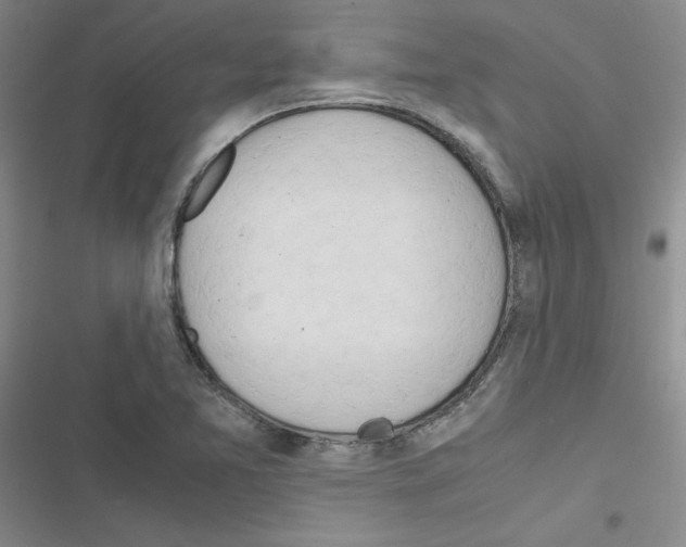 X0000116661365201001251209