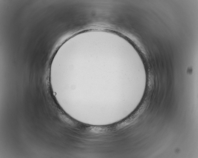 X0000116661366201001251209
