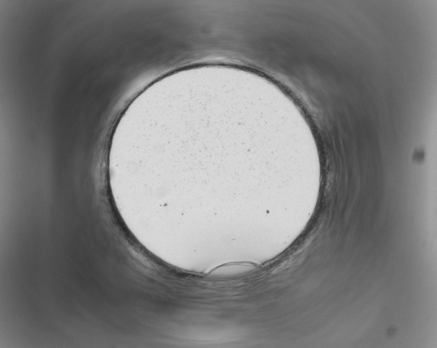 X0000116661367201001251209