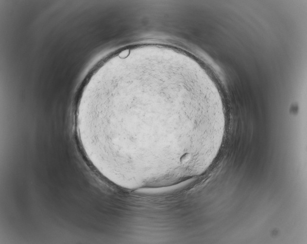X0000116661368201001251209