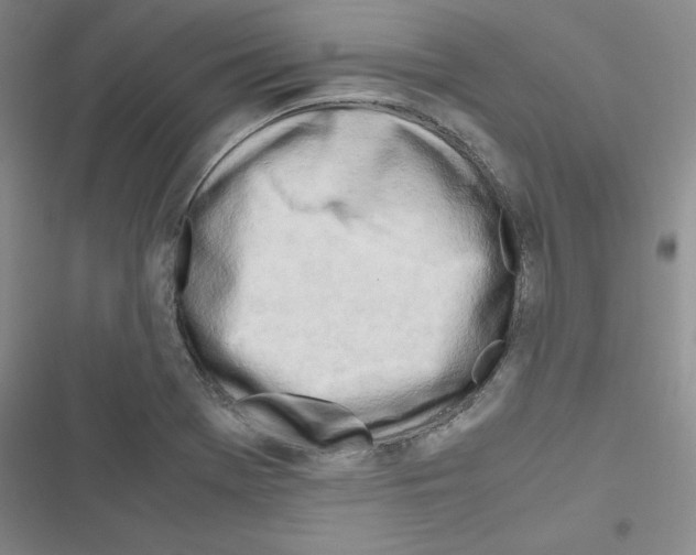 X0000116661369201001251209