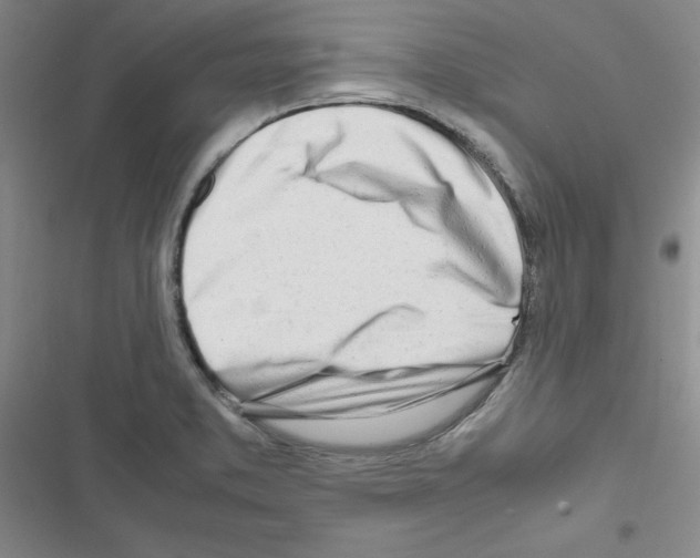 X0000116661373201001251209