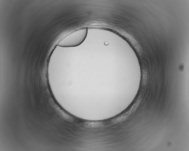 X0000116661374201001251209