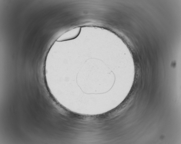 X0000116661375201001251209