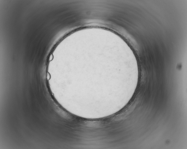 X0000116661376201001251209