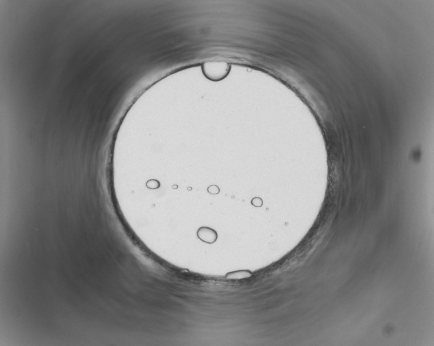 X0000116661379201001251209
