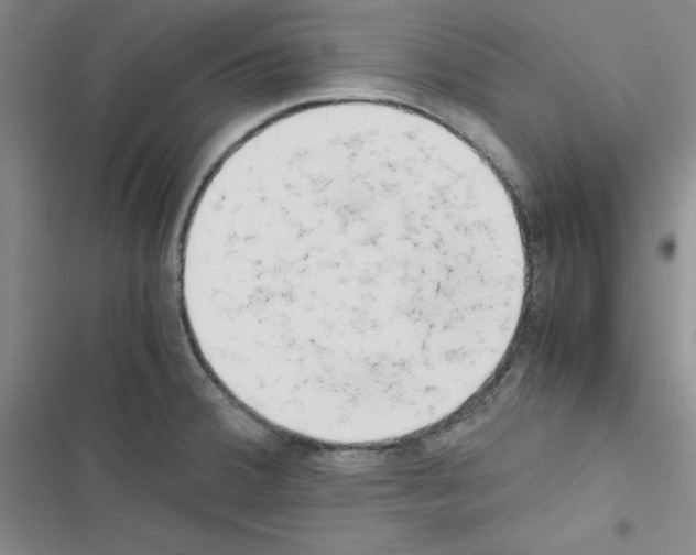 X0000116661380201001251209