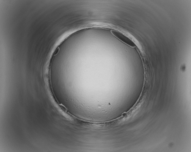 X0000116661381201001251209