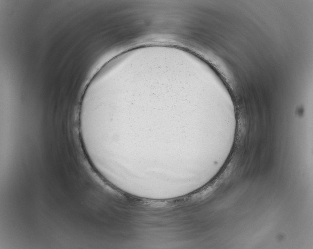 X0000116661382201001251209