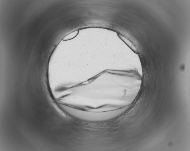 X0000116661383201001251209