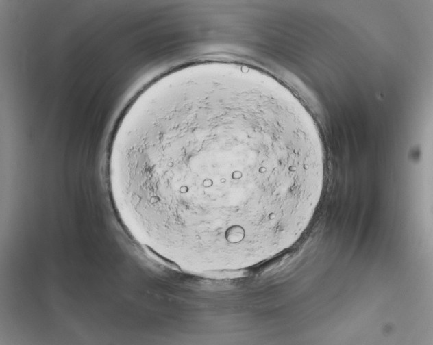 X0000116661384201001251209