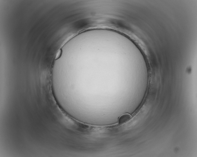 X0000116661385201001251209