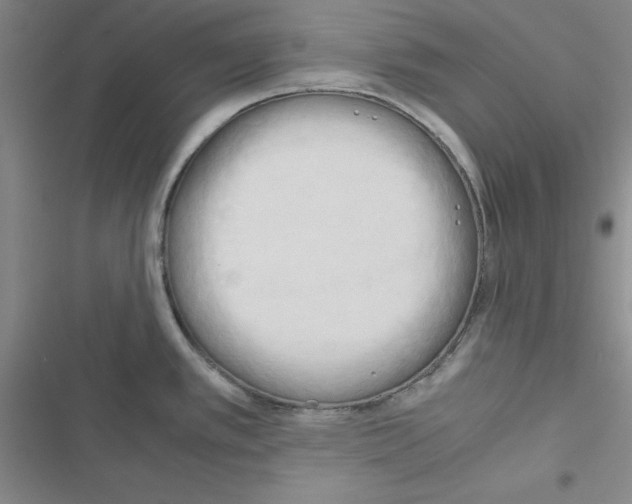 X0000116661389201001251209