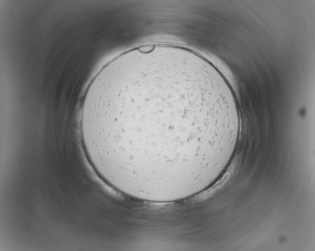 X0000116661390201001251208