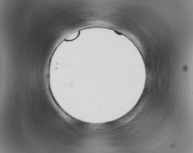 X0000116661391201001251208