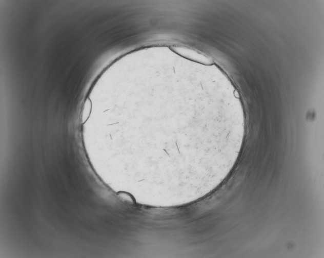 X0000116661392201001251208