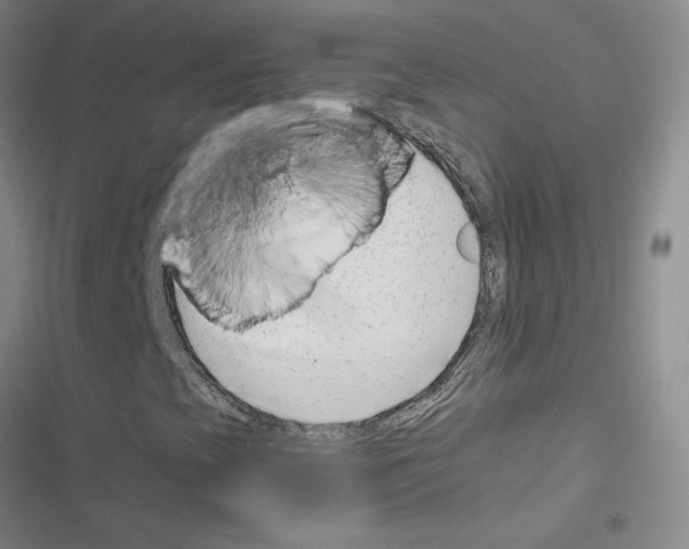 X0000116661393201001251208