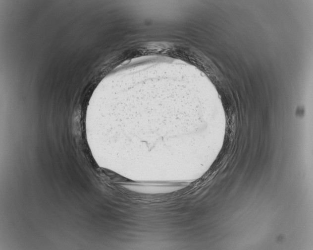 X0000116661394201001251208