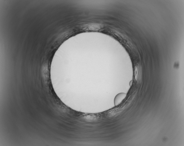 X0000116661395201001251208