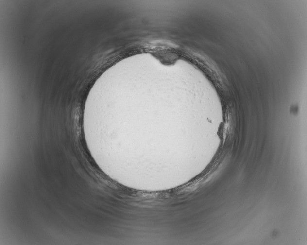 X0000116661396201001251208