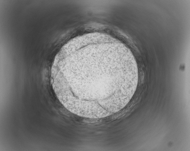 X0000116661397201001251208