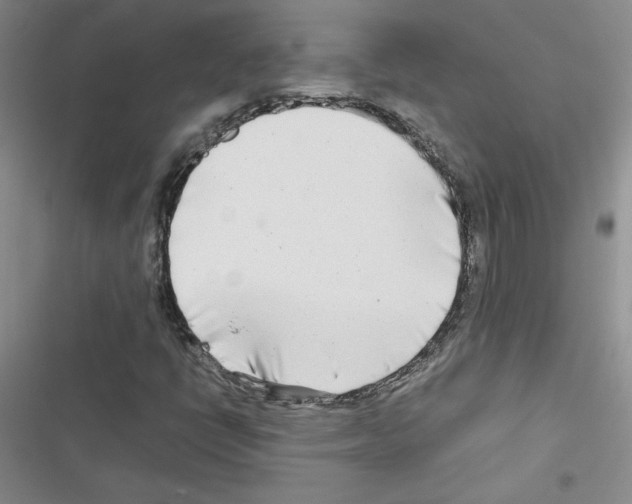 X0000116661398201001251208