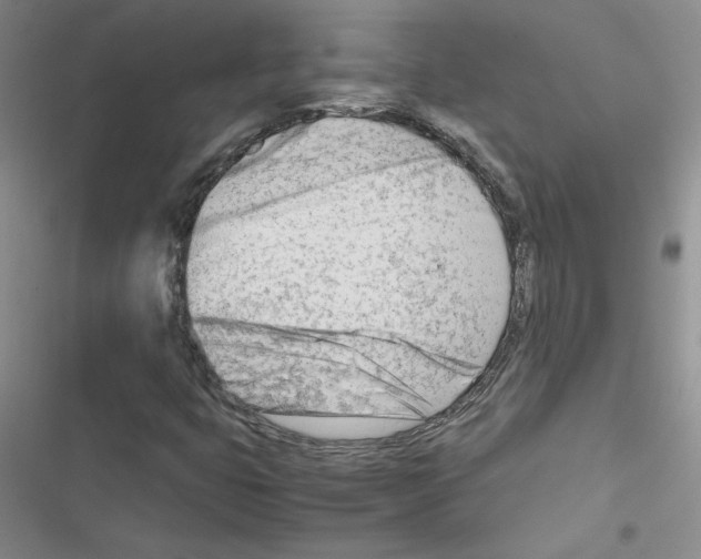 X0000116661399201001251208