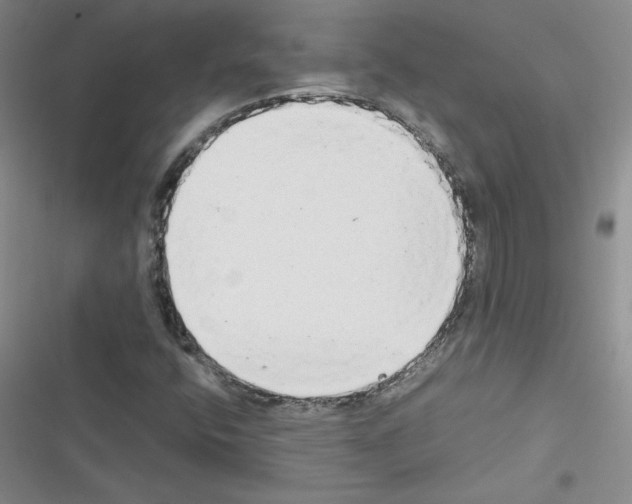 X0000116661400201001251208
