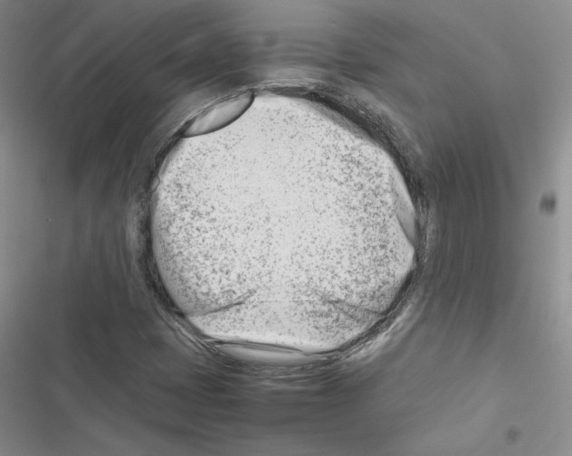 X0000116661401201001251208