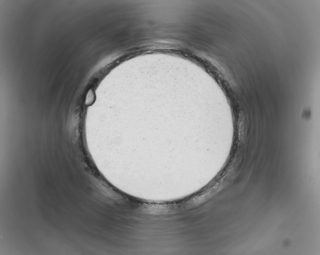 X0000116661402201001251208