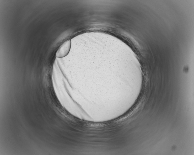 X0000116661403201001251208