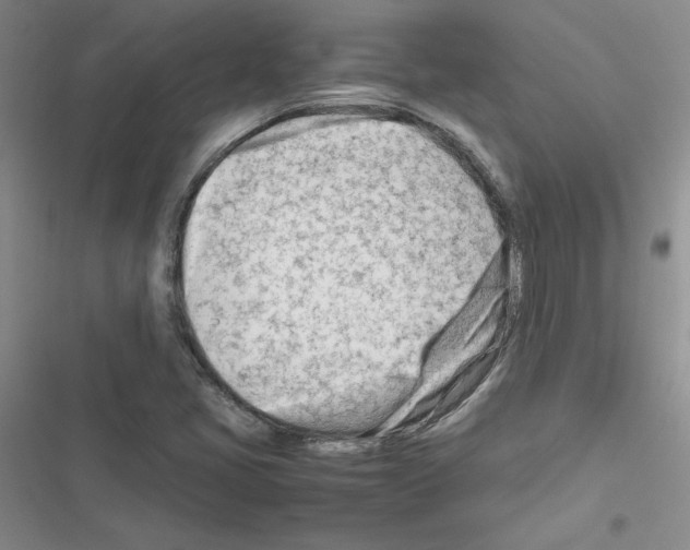X0000116661405201001251208