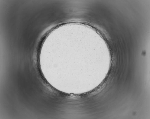 X0000116661406201001251208