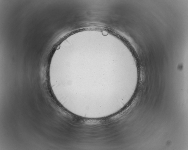 X0000116661407201001251208