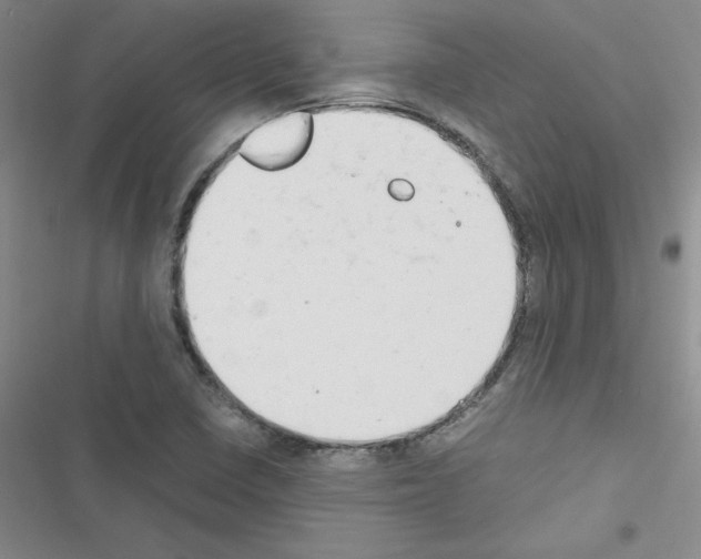 X0000116661410201001251208