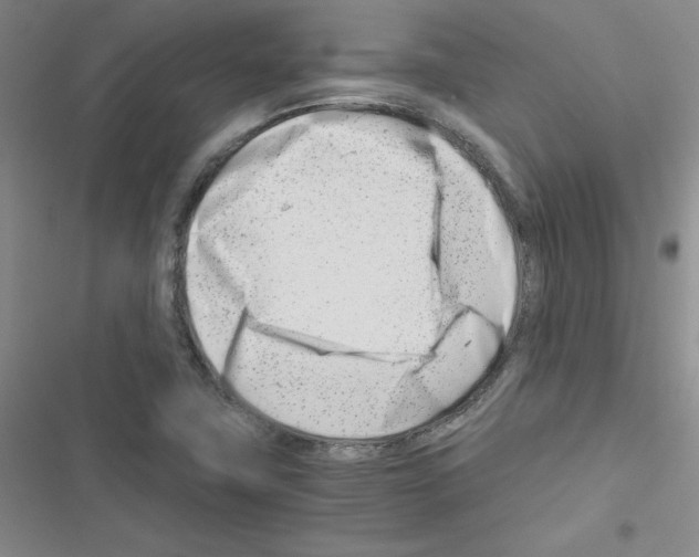 X0000116661411201001251208