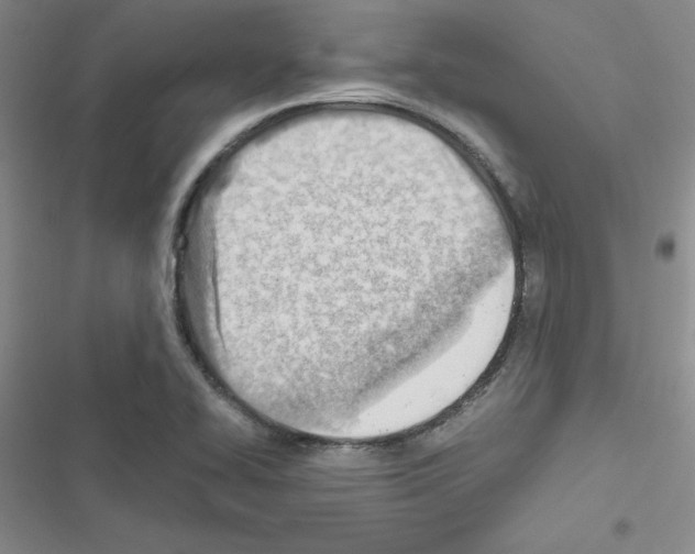 X0000116661414201001251208