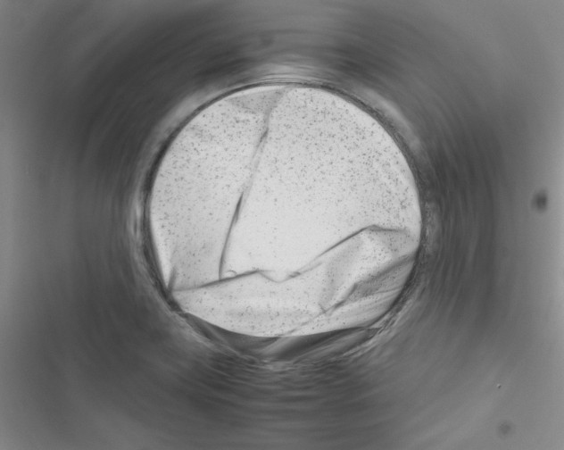 X0000116661419201001251208