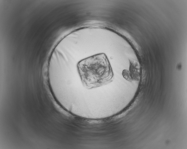 X0000116661421201001251208