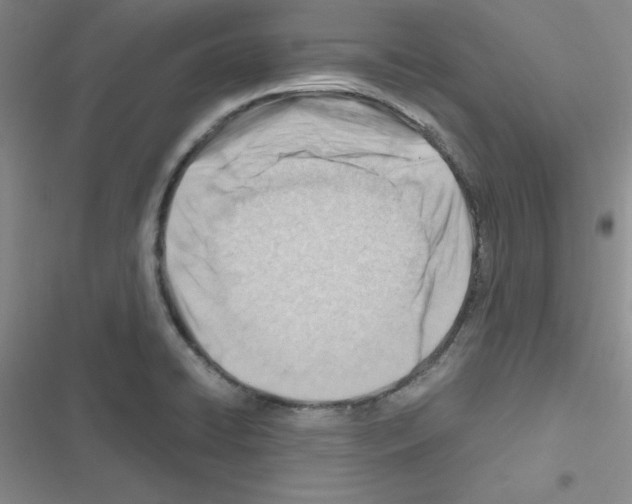 X0000116661422201001251208