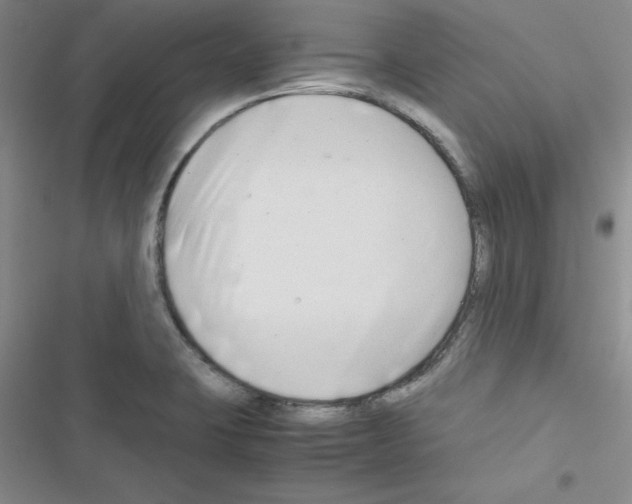 X0000116661423201001251208