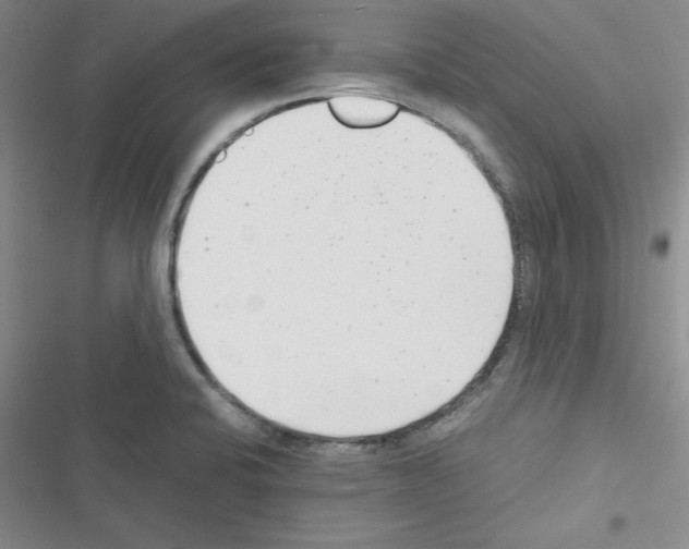 X0000116661424201001251208